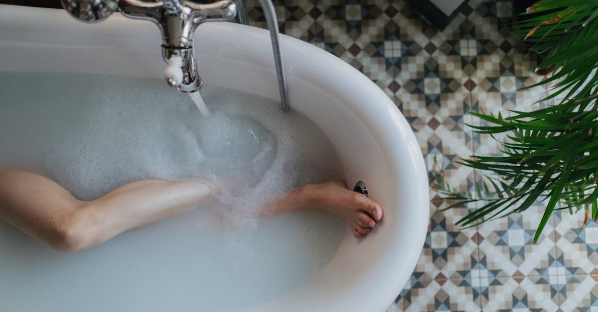 découvrez les intrigues captivantes et les drames intenses des soap operas, les feuilletons télévisés qui passionnent les téléspectateurs avec leurs histoires d'amour, de trahison et de secrets.