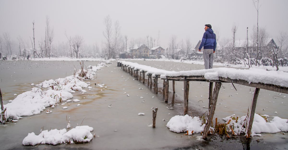 découvrez les temps forts de disney+ en décembre 2025 : nouveautés, exclusivités et contenus incontournables pour toute la famille.