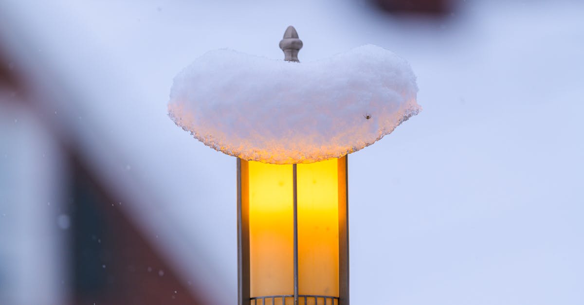 découvrez les moments forts de disney+ en décembre 2025 : nouveautés, films et séries incontournables à ne pas manquer ce mois-ci.