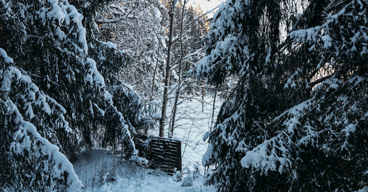 découvrez les nouveautés et sorties exclusives sur hbo max en décembre 2025, avec un large choix de séries, films et contenus originaux à ne pas manquer.