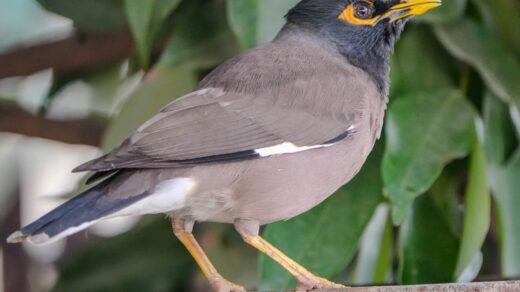 découvrez notre sélection incontournable de contenus à ne pas manquer, des films captivants aux séries emblématiques, pour des heures de divertissement garanti.