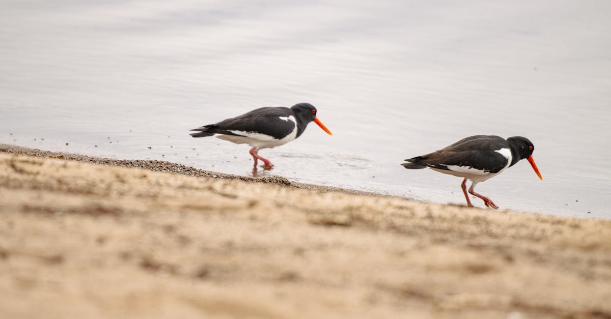 découvrez notre sélection incontournable des séries à ne pas manquer en 2025, avec des intrigues captivantes et des personnages mémorables pour tous les goûts.