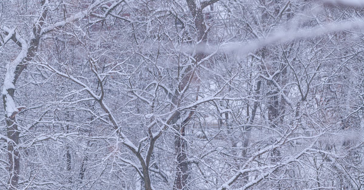 découvrez les films et séries qui quitteront le catalogue netflix en décembre 2025. ne ratez pas vos contenus préférés avant leur suppression !