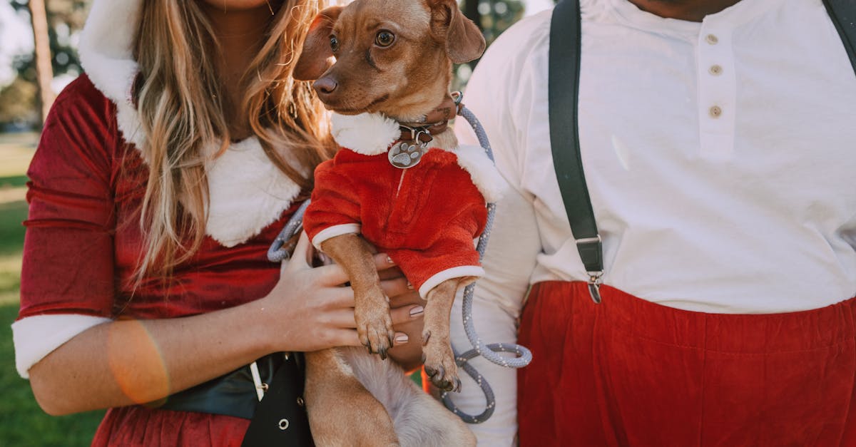 découvrez toutes les nouveautés et les meilleures séries disponibles en décembre 2025 sur prime video. ne manquez aucun titre incontournable ce mois-ci !