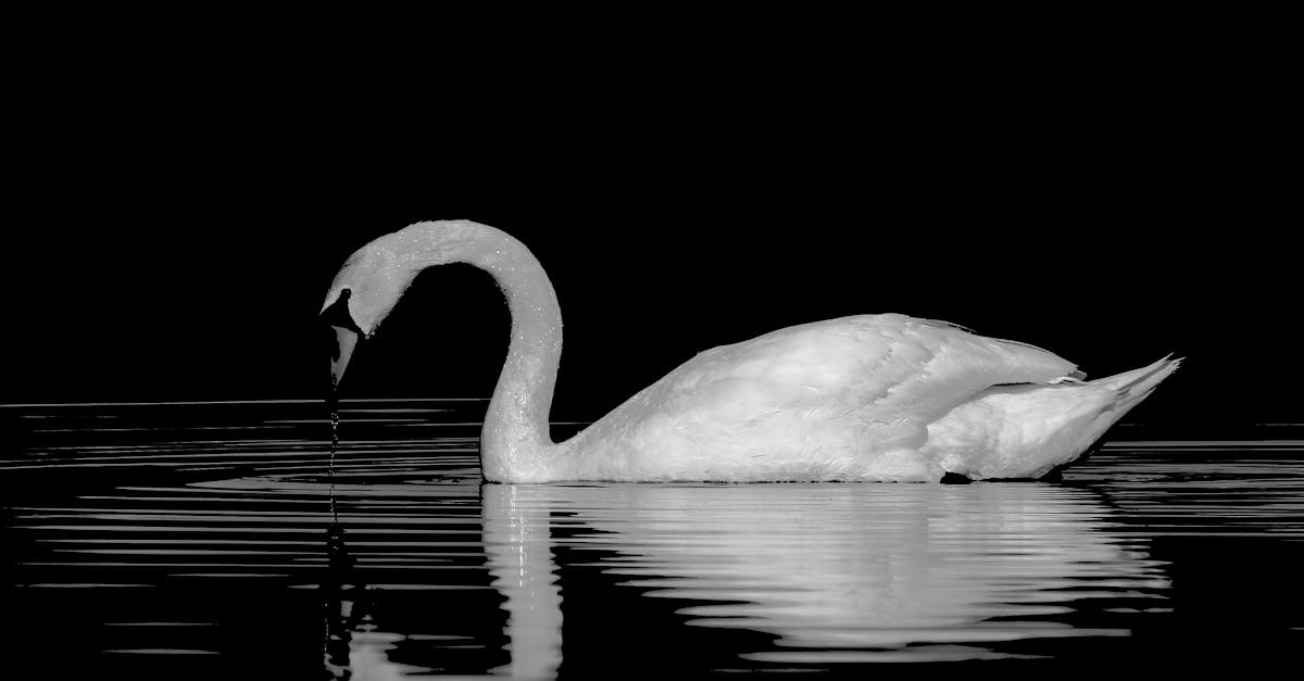 découvrez le top 10 des films et séries les plus populaires de 2025, avec les incontournables à ne pas manquer cette année.