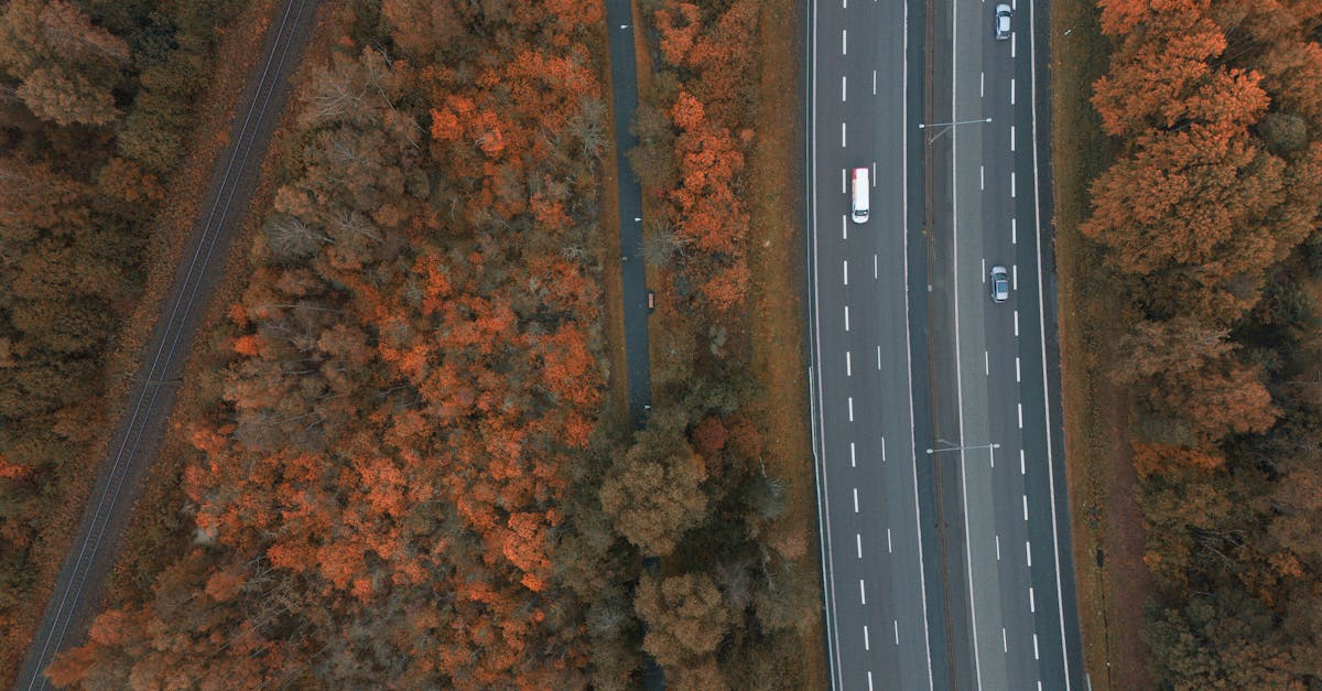 découvrez les meilleures séries tv de 2025, classées selon la popularité, les critiques et les tendances à ne pas manquer cette année.