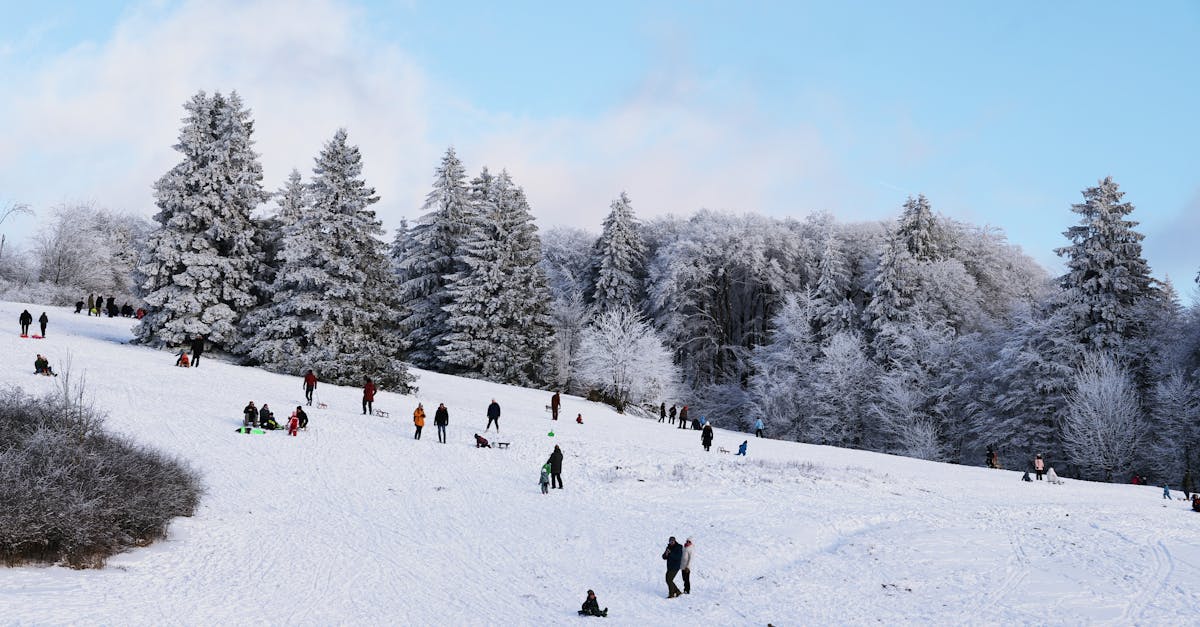 découvrez la saison 8 de drive to survive, la série captivante qui vous plonge au cœur de l'intense saison de formule 1 avec des images exclusives, des courses palpitantes et des coulisses inédites.