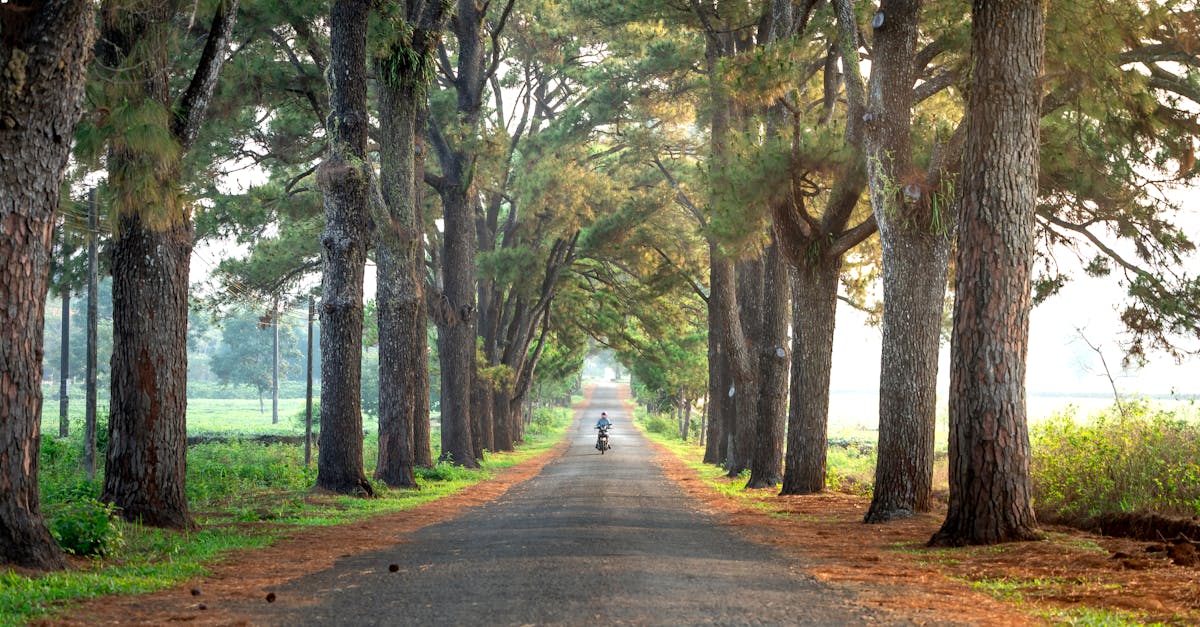 découvrez la saison 8 de drive to survive, la série palpitante qui vous plonge au cœur du championnat de formule 1 avec des images exclusives et des histoires inédites.