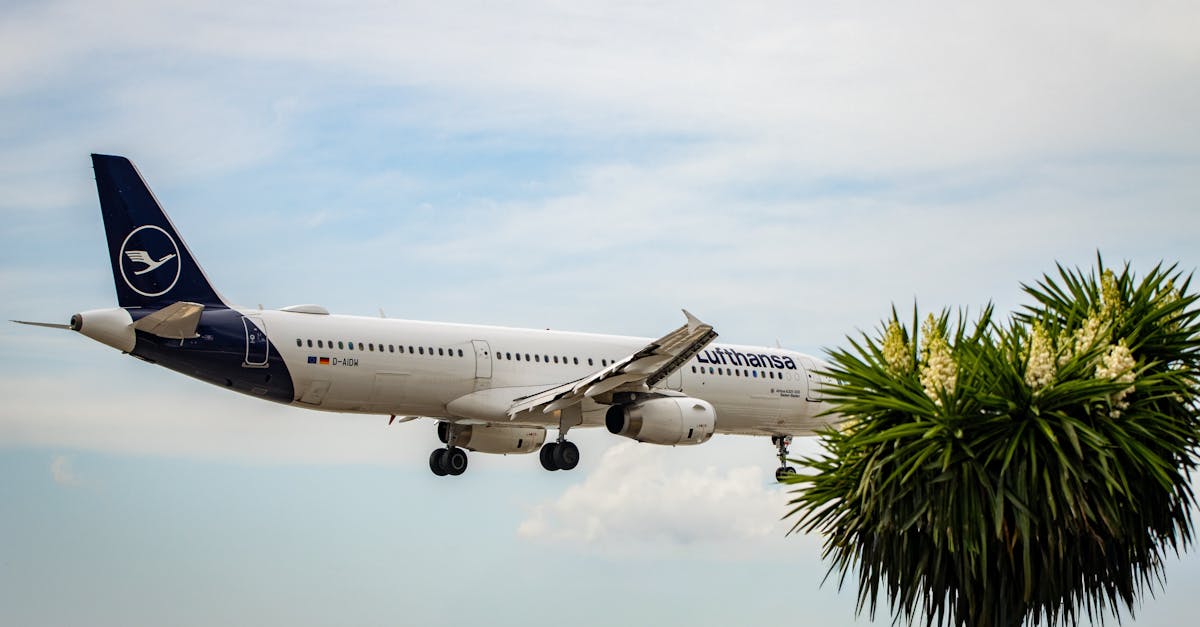 découvrez les séries tv internationales incontournables prévues pour 2025, avec des nouveautés captivantes et des productions venues du monde entier.