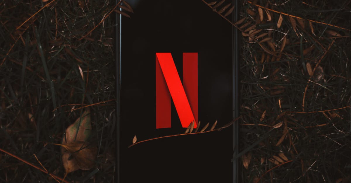 découvrez les séries incontournables à regarder en 2025, des nouveautés captivantes aux succès acclamés, pour ne rien manquer des meilleures productions de l'année.