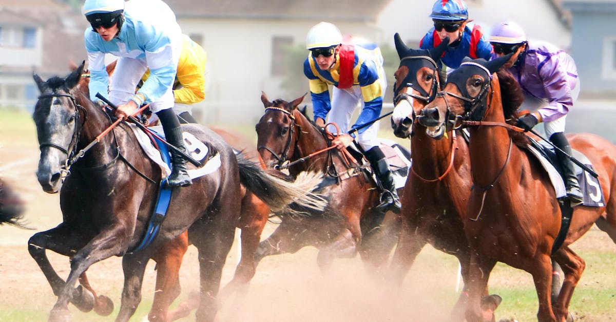 découvrez les actrices principales incontournables des films d'action thriller sur netflix, leurs performances captivantes et leurs rôles marquants.