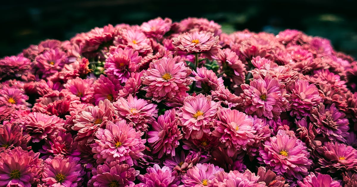 découvrez les temps forts de netflix pour mars 2026 : sorties exclusives, nouvelles séries captivantes et films incontournables à ne pas manquer ce mois-ci.