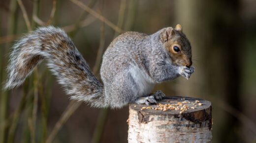 découvrez les temps forts de netflix en mars 2026 : nouveautés, séries à ne pas manquer et films exclusifs à regarder ce mois-ci.