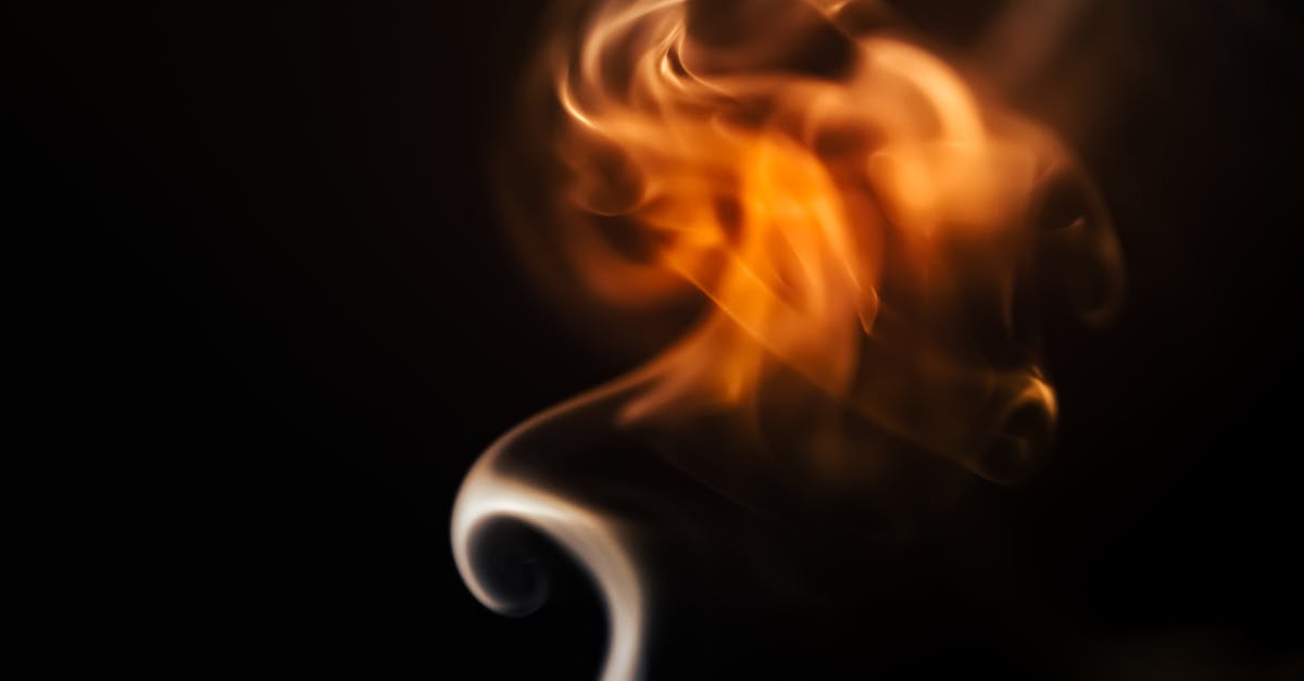 découvrez les nouveautés netflix de février 2026 : les séries, films et documentaires à ne pas manquer ce mois-ci sur la plateforme.