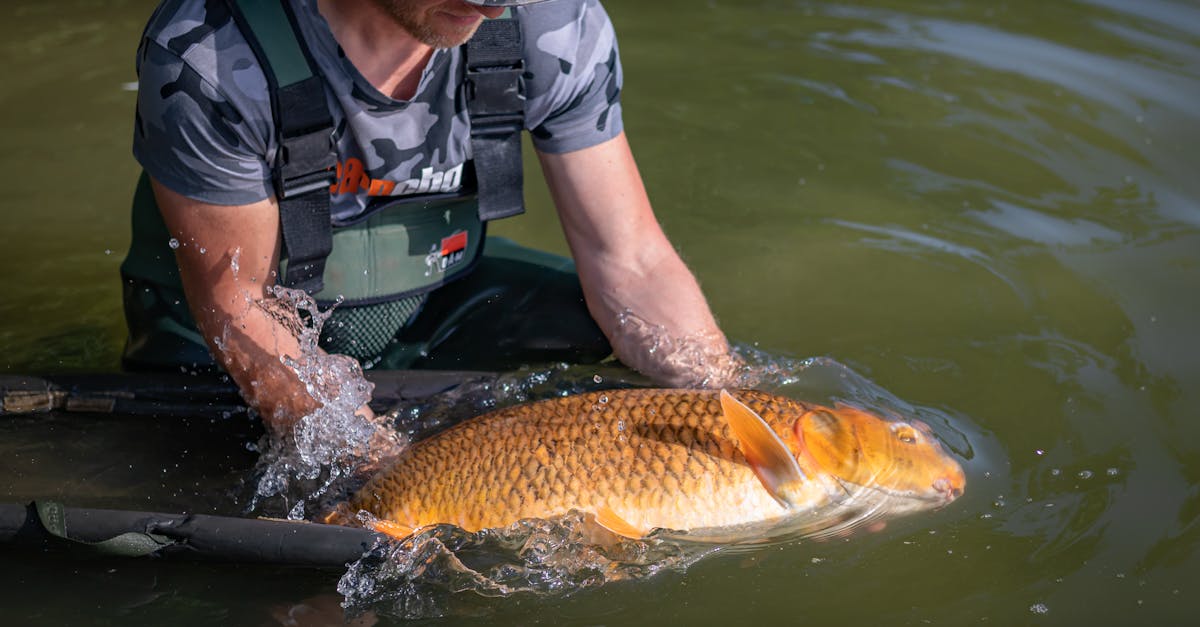 découvrez toutes les nouveautés et sorties netflix prévues en février 2026. films, séries et documentaires à ne pas manquer ce mois-ci sur votre plateforme de streaming préférée.