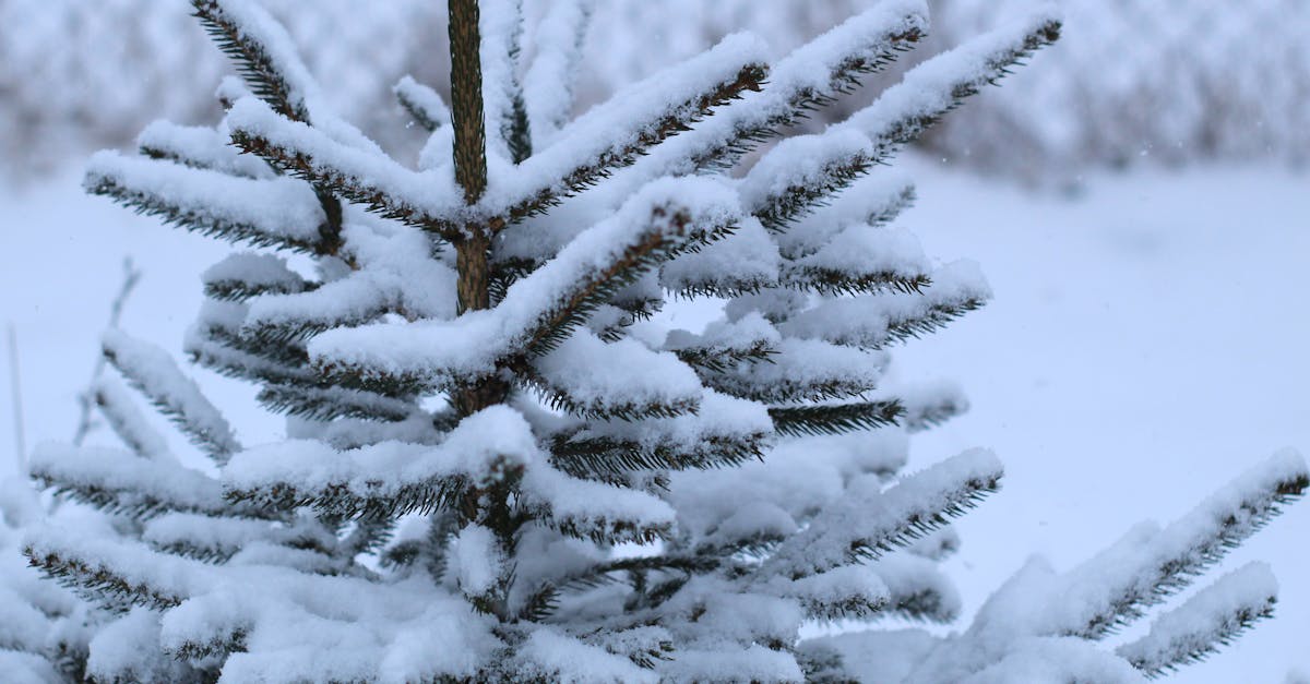 découvrez les nouveautés de netflix pour janvier 2026 : films, séries et documentaires à ne pas manquer ce mois-ci.