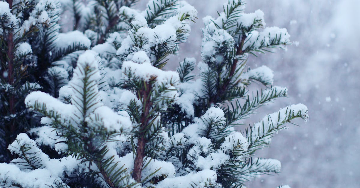 découvrez les sorties netflix de janvier 2026 : les films, séries et documentaires incontournables à ne pas manquer ce mois-ci.