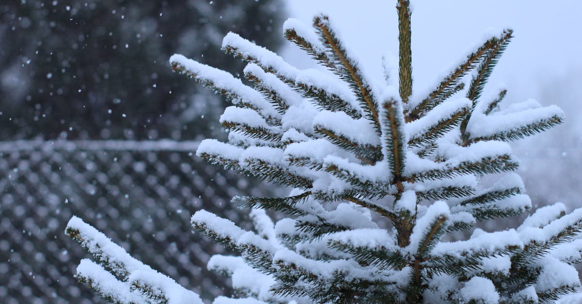 découvrez les nouveautés netflix de janvier 2026 : films, séries et documentaires à ne pas manquer ce mois-ci.