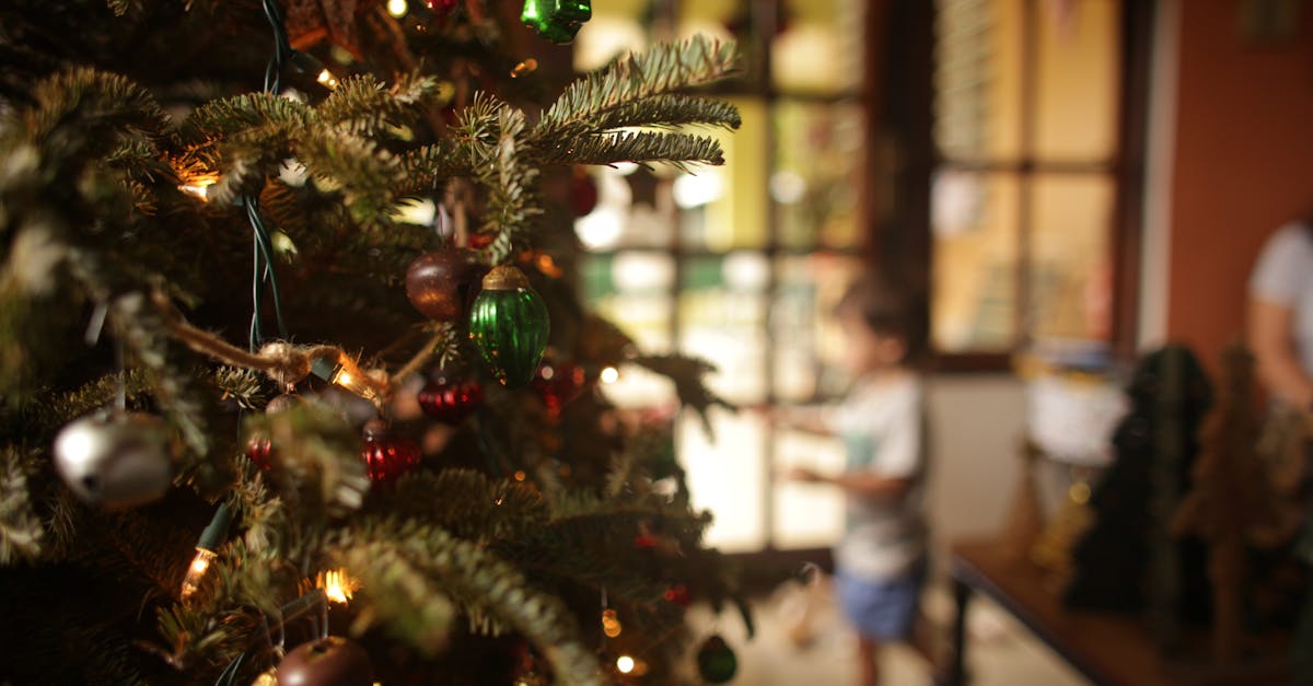 plongez dans un thriller de noël captivant mêlant suspense, mystère et ambiance festive pour des fêtes inoubliables.