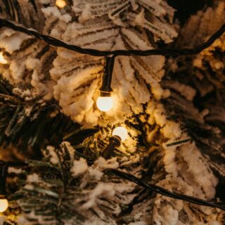 découvrez un christmas thriller palpitant mêlant suspense et mystère au cœur des fêtes de noël. plongez dans une aventure captivante où chaque instant compte.