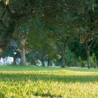 découvrez disney+, la plateforme de streaming incontournable pour toute la famille, avec un large choix de films, séries, dessins animés et exclusivités disney, pixar, marvel, star wars et national geographic.