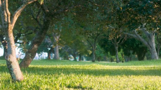 découvrez disney+, la plateforme de streaming incontournable pour toute la famille, avec un large choix de films, séries, dessins animés et exclusivités disney, pixar, marvel, star wars et national geographic.