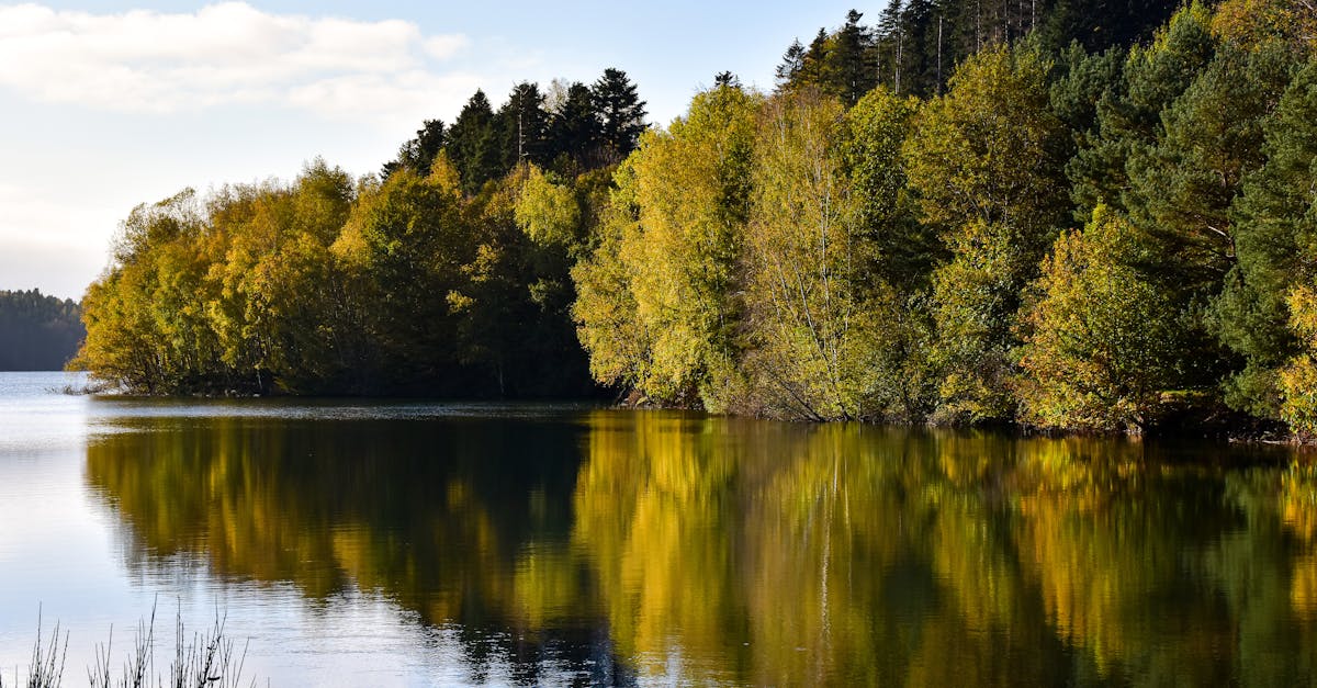découvrez l'univers de pierre niney, acteur français reconnu pour ses performances captivantes au cinéma et au théâtre. retrouvez ses dernières actualités, films et projets.