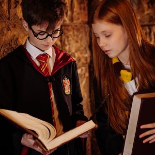 découvrez l'univers magique de harry potter, une saga captivante mêlant aventures, amitié et combats contre les forces du mal.