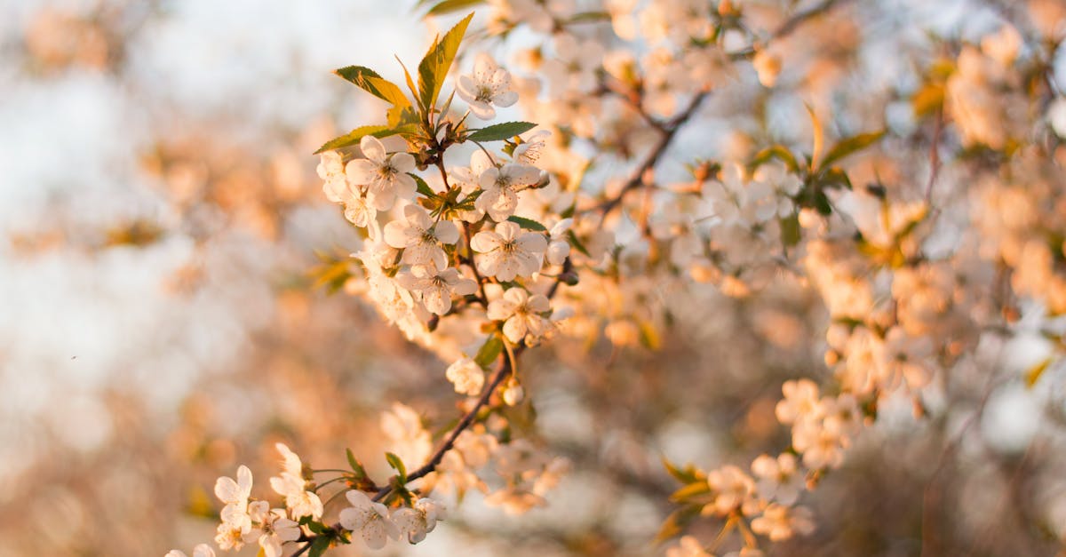 découvrez les temps forts du mois d'avril : événements, nouveautés et moments incontournables à ne pas manquer.
