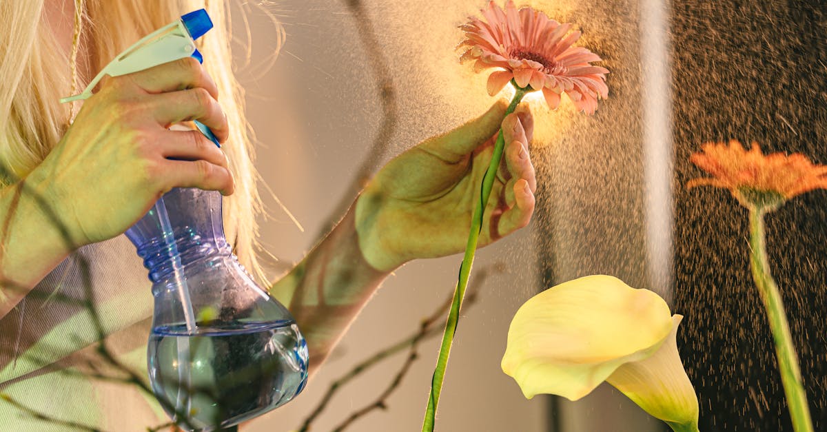 découvrez une explication concise et claire sur le terme 'bref', idéale pour comprendre rapidement son usage et sa signification.