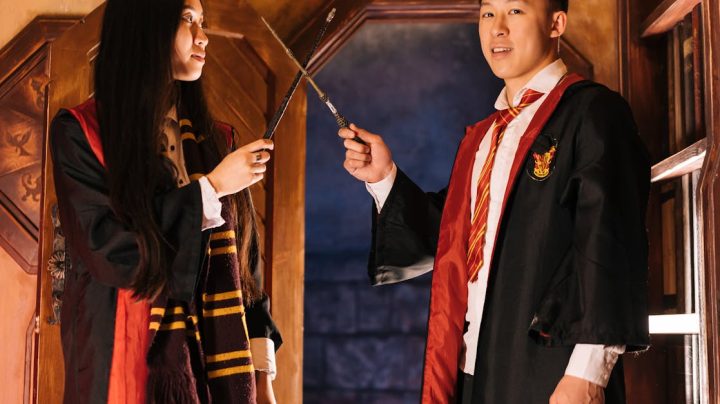 découvrez une comédie d'aventure fantastique pleine d'humour, de quêtes épiques et de personnages hauts en couleur pour un divertissement garanti.