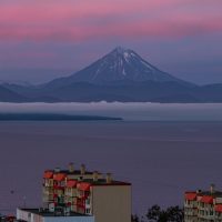 découvrez tout sur kvaratskhelia, le talentueux footballeur géorgien, ses performances, sa carrière et ses dernières actualités.