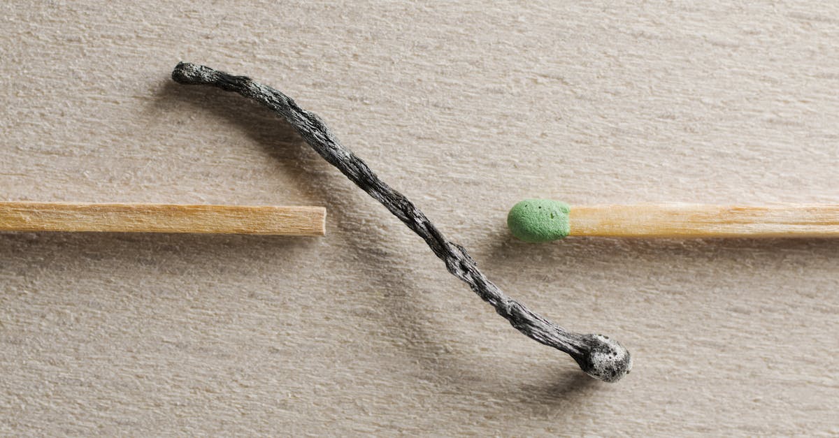 découvrez les principales similarités entre différents concepts, objets ou idées pour mieux comprendre leurs points communs et leurs connexions.