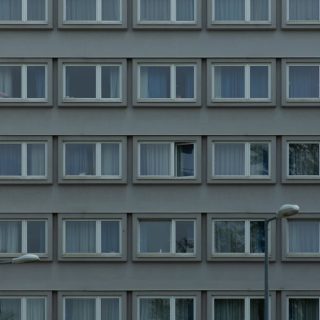 découvrez les principales similarités qui unissent différents concepts, objets ou idées, et comprenez leurs points communs essentiels.