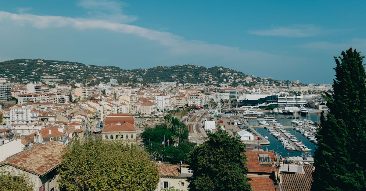 découvrez toutes les informations essentielles sur le festival de cannes 2026 : dates, sélection officielle, événements et actualités du prestigieux rendez-vous cinématographique.