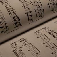 découvrez le monde fascinant des biopics musicaux, ces films qui racontent la vie inspirante des artistes légendaires à travers leur musique et leurs combats.