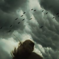 découvrez l'épisode palpitant de doctor who intitulé "storm", où le docteur affronte une tempête mystérieuse mettant en péril l'univers. plongez dans cette aventure captivante remplie de suspense et de science-fiction.