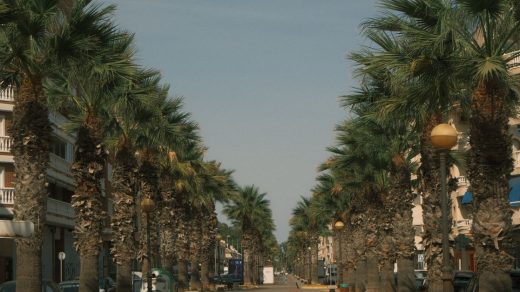 découvrez toutes les informations et les actualités autour de la palme d'or 2026, le prestigieux prix du festival de cannes récompensant le meilleur film de l'année.