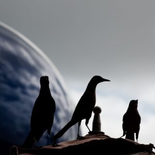 découvrez l'univers absurde et humoristique des shadoks, ces créatures emblématiques de la télévision française, célèbres pour leurs inventions farfelues et leur philosophie décalée.