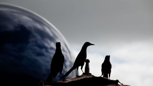 découvrez l'univers absurde et humoristique des shadoks, ces créatures emblématiques de la télévision française, célèbres pour leurs inventions farfelues et leur philosophie décalée.