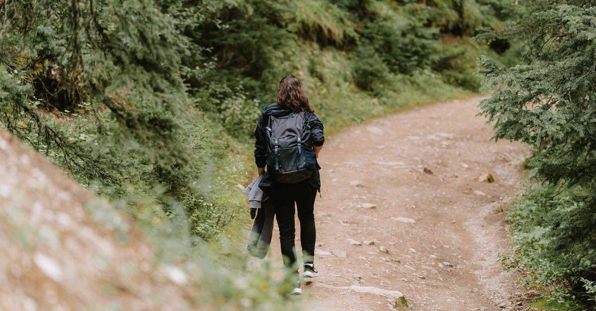 découvrez des conseils, itinéraires et équipements essentiels pour la randonnée. explorez la nature, améliorez votre forme physique et profitez de chaque aventure en plein air.