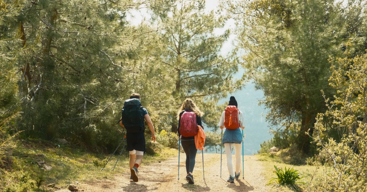 découvrez nos conseils et itinéraires pour la randonnée, explorez la nature en toute sécurité et profitez pleinement de vos aventures en plein air.