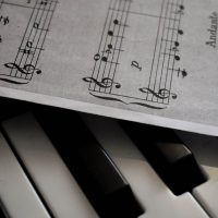 découvrez tout sur la musique : actualités, tendances, styles et artistes du monde entier pour les passionnés et amateurs.