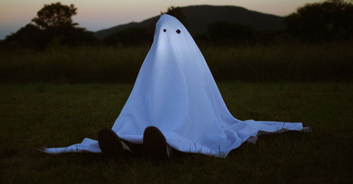 découvrez summerween, une fête estivale unique alliant l'ambiance d'halloween à la chaleur de l'été pour des moments inoubliables et festifs.